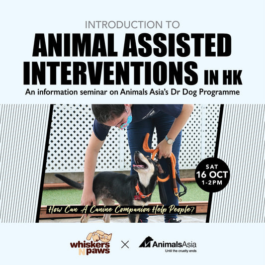 Introduction to Animal Assisted Interventions in Hong Kong [English Session]
