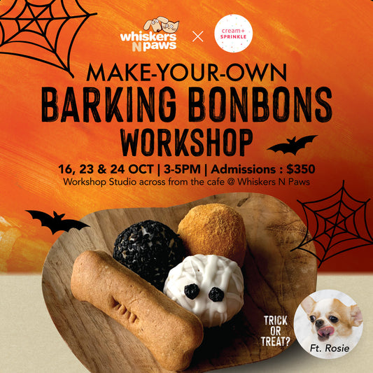 Make-Your-Own Barking Bonbons Workshop