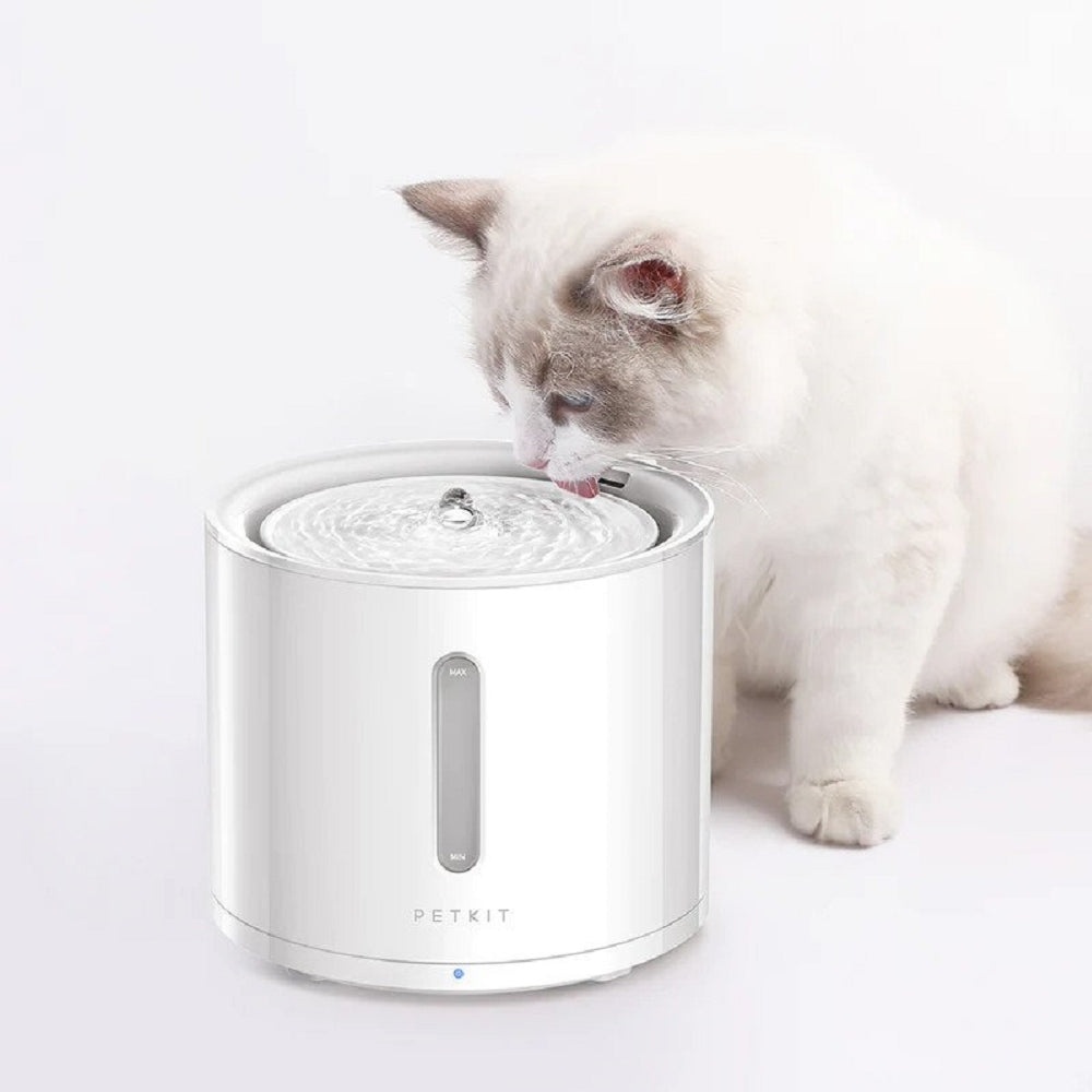 Eversweet Solo Smart Pet Drinking Fountain (Wireless Pump)