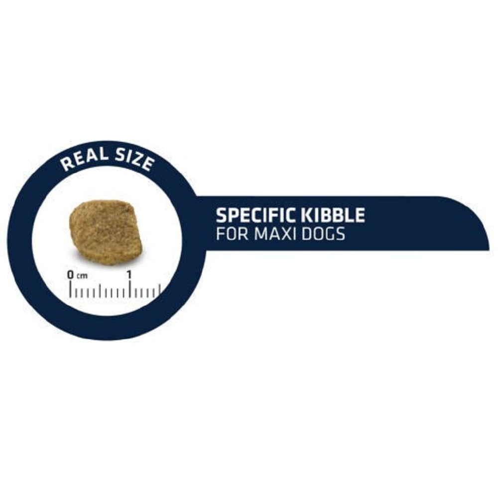 Active Defense - Chicken & Rice for Large Senior Vitality Dog Dry Food