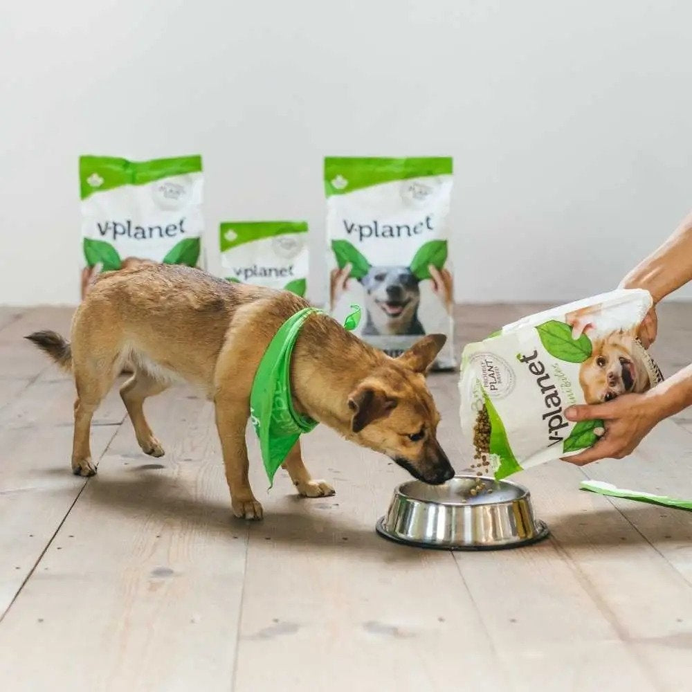 Adult Vegan Dog Dry Food - Main Image