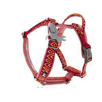 Razzle Dazzle Dog Y Harness