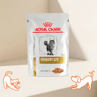 VHN Urinary Chicken Cat Pouch