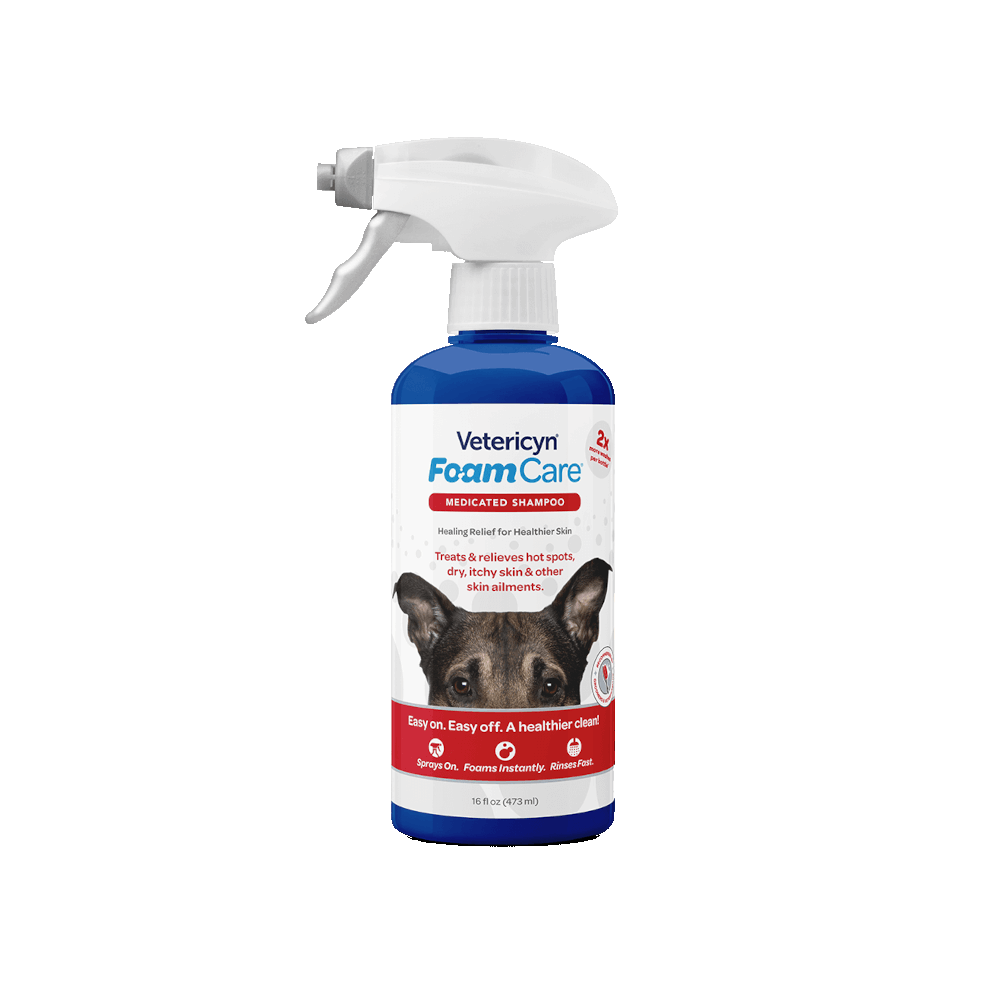 FoamCare Medicated Dog ShampooBuy Online Whiskers N Paws