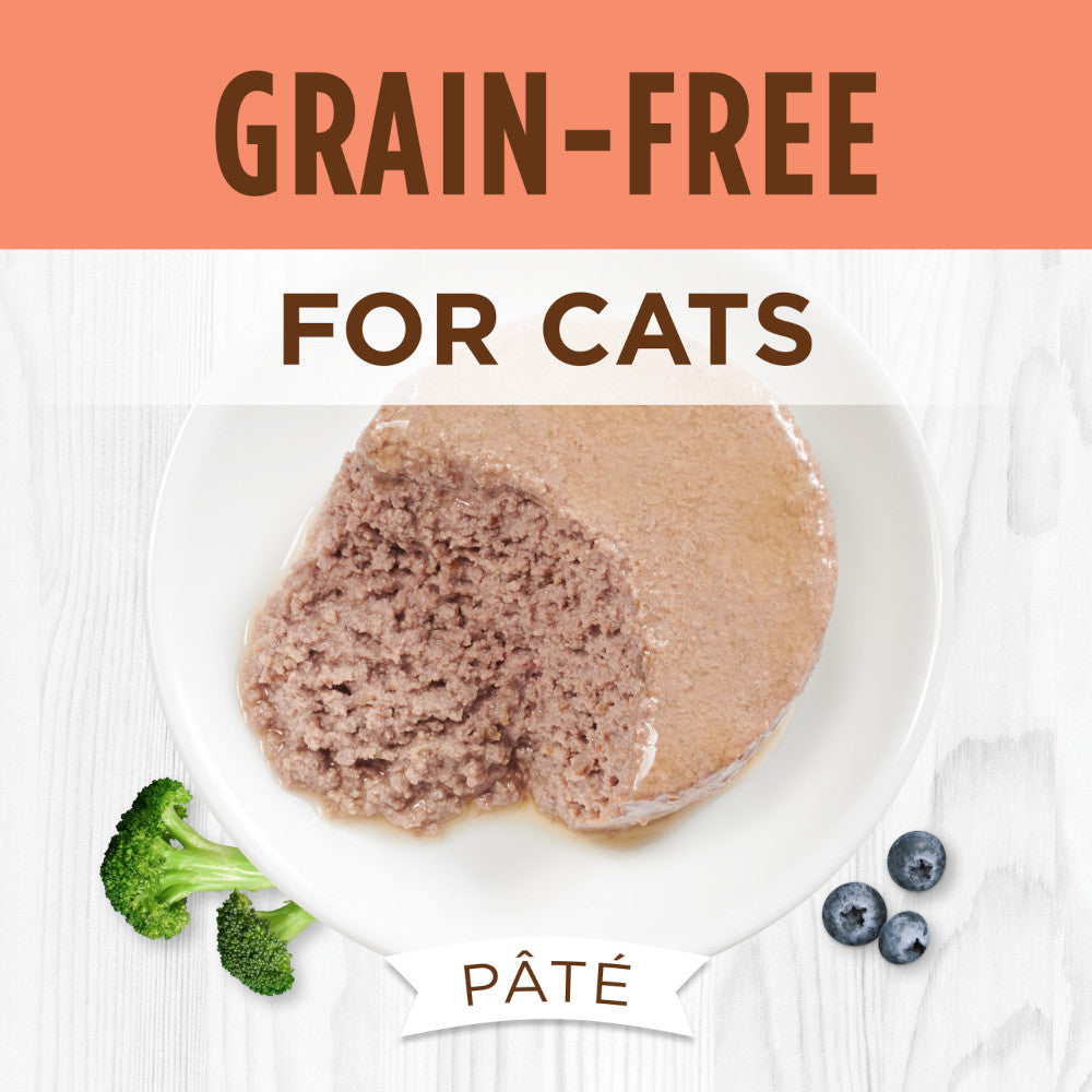 All Life Stages Original Grain Free Salmon Cat Can