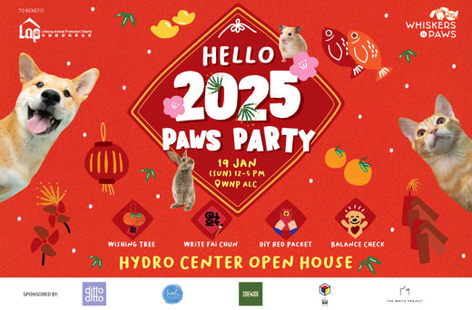 Hello 2025 Paws Party