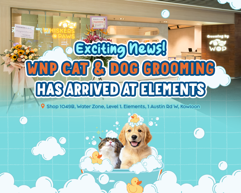 Whiskers N Paws Opens Pet Grooming Shop at Elements Mall, Hong Kong