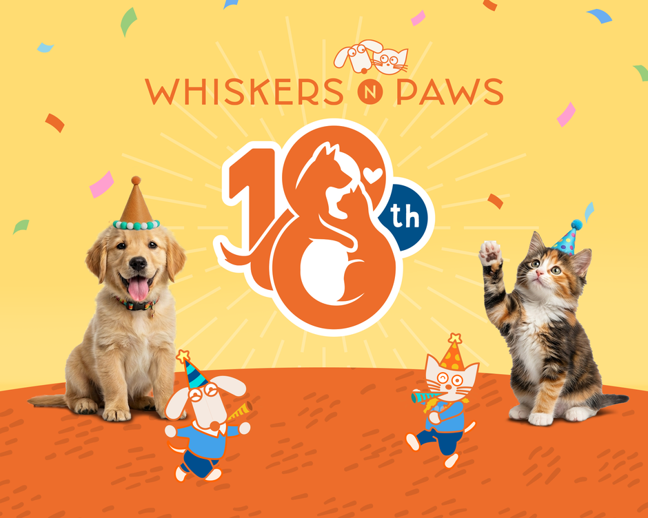 Whiskers N Paws Celebrates Anniversary: 18 Years of Growth, Driven by an Unchanged Passion