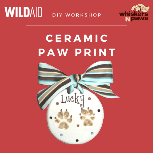 DIY Ceramic Paw Print