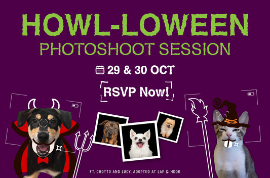 HOWL - LOWEEN PHOTOSHOOT SESSION