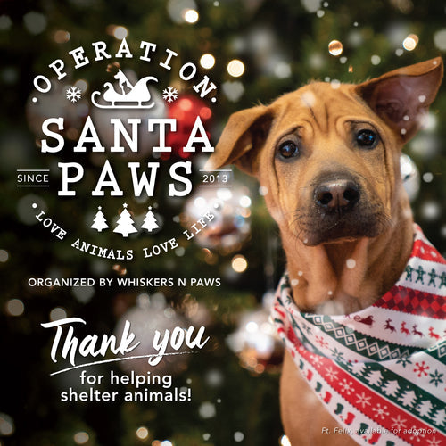 Operation Santa Paws 2020