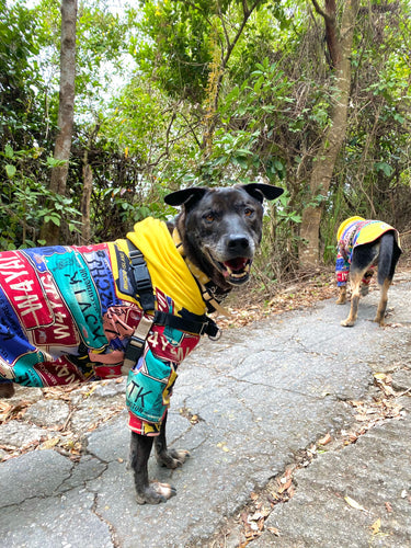 The Importance of Fostering