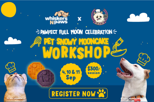 Whiskers N Paws x Furkid Store Pet Snowy Mooncake Workshop