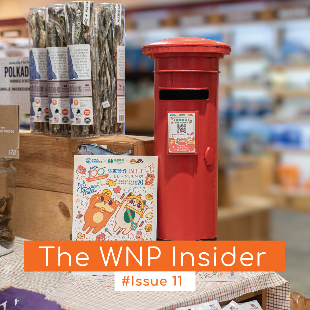 SPCA 100th Anniversary