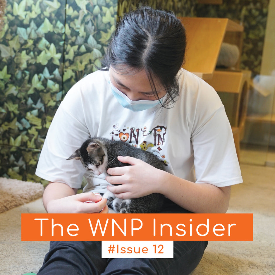 YWCA Summer Internship