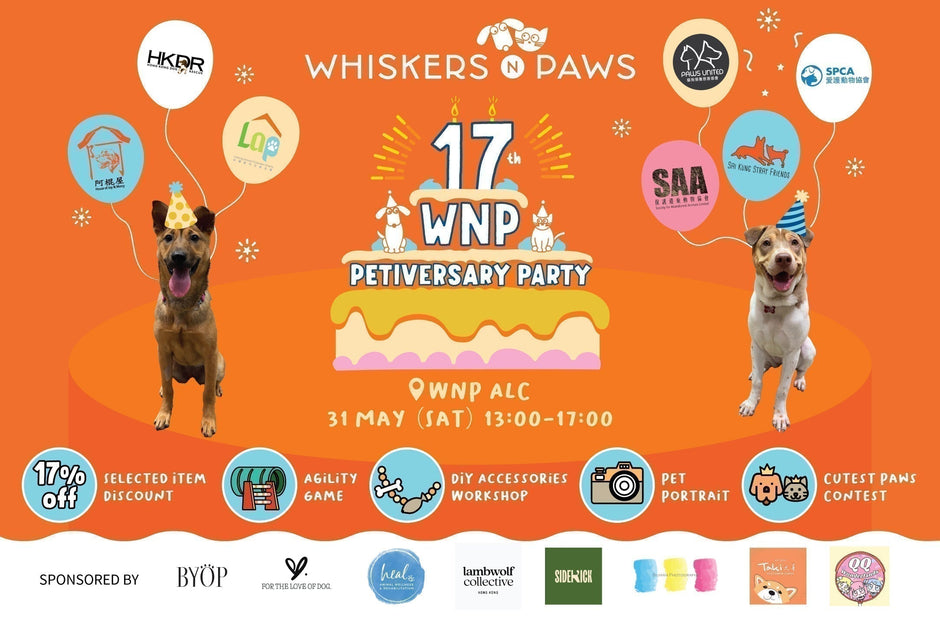 Join the Celebration - 17 Years of Paws & Love!🐾❤️