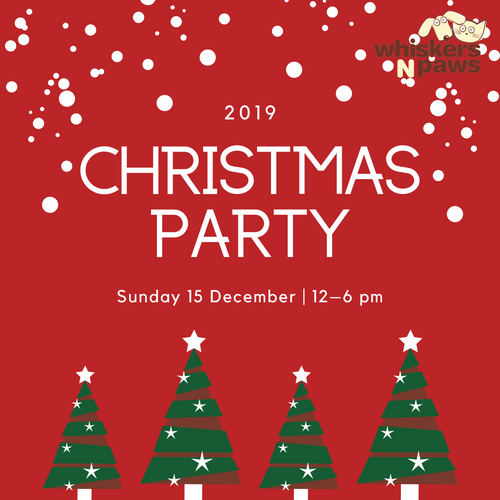 Whiskers N Paws Christmas Party 2019