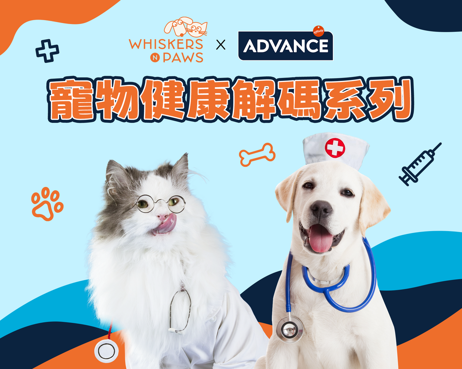 【 WNP x Advance 寵物健康解碼系列 】新手貓奴狗奴入門攻略：BB貓狗營養餵食手冊　必睇健康貓狗糧推介