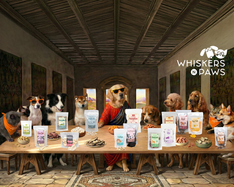 Why More Hong Kong Pet Parents Are Choosing WNP Freeze-Dried Treats
