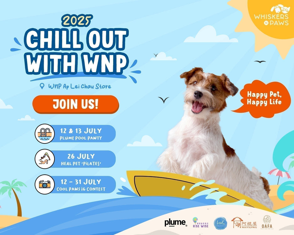 Chill Out with WNP This Summer🐾💦