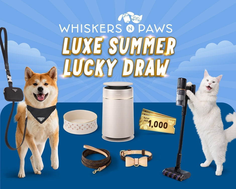 VIPaws Luxe Summer Lucky Draw: Upgrade Your Superhero Headquarters