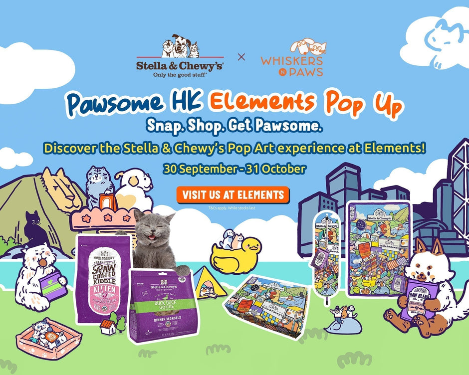Pawsome HK: Stella & Chewy’s × Whiskers N Paws × Simple Bao Elements Pop-Up