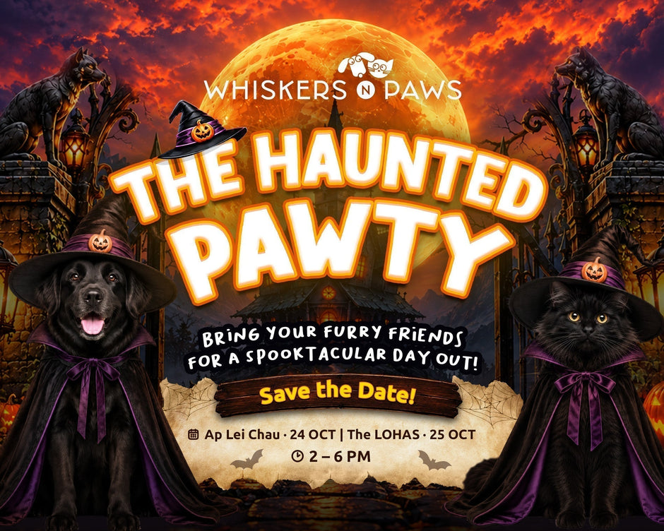 🎃 The Haunted Pawty: A Spooktacular Halloween Party for Pets at Whiskers N Paws!