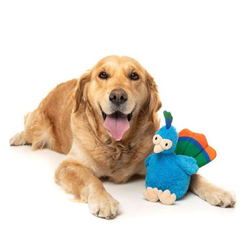 Neighborhood Nasties - Peacook Dog Plush Toy