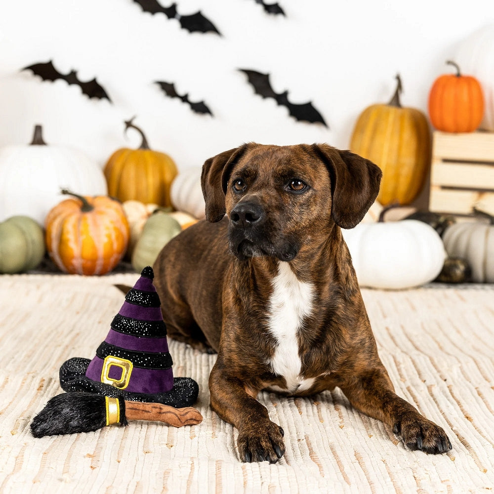 Halloween Broom Wear Dog Plush Toy