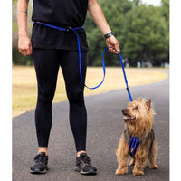 Road Runner Dog Leash Lite