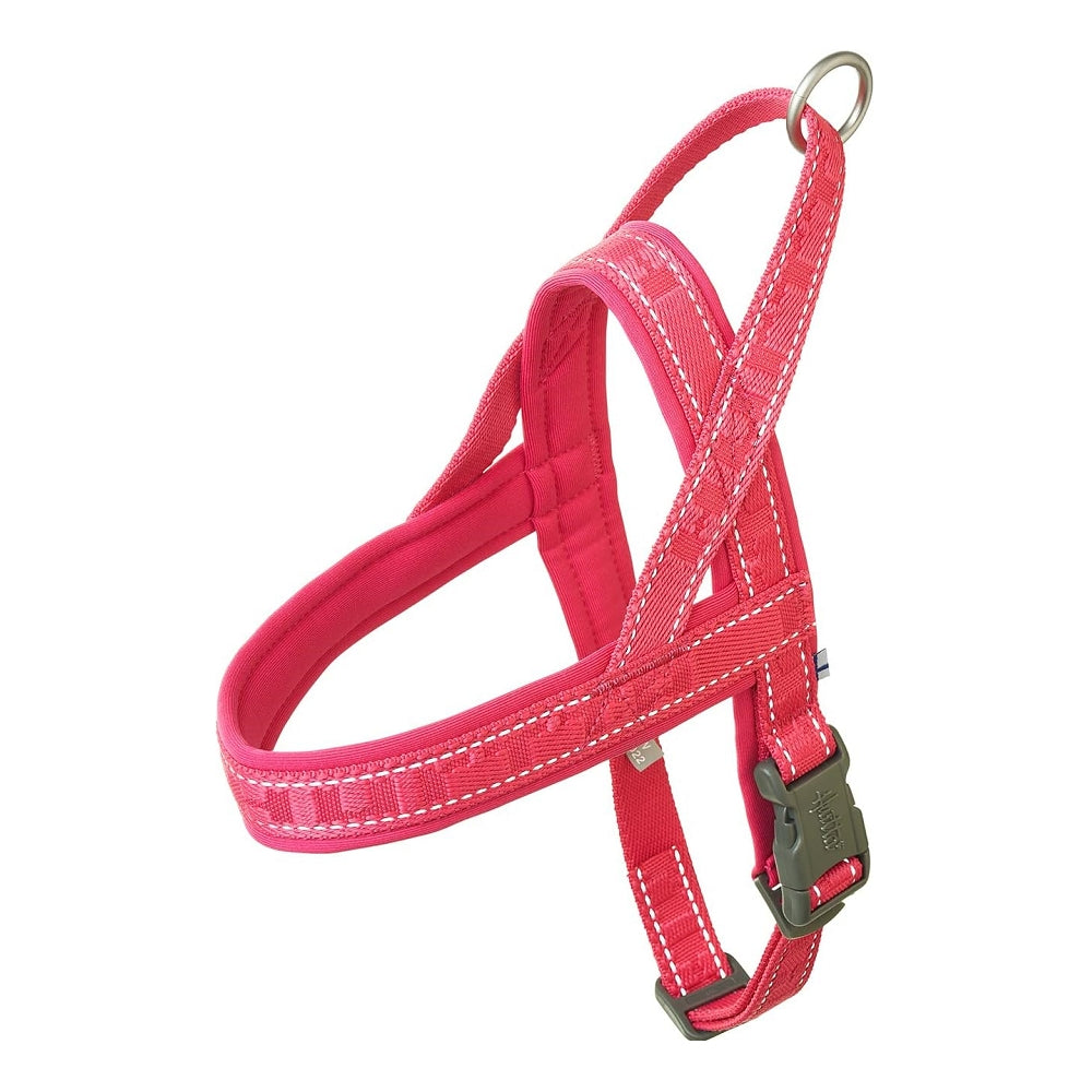 Casual Padded Dog Harness