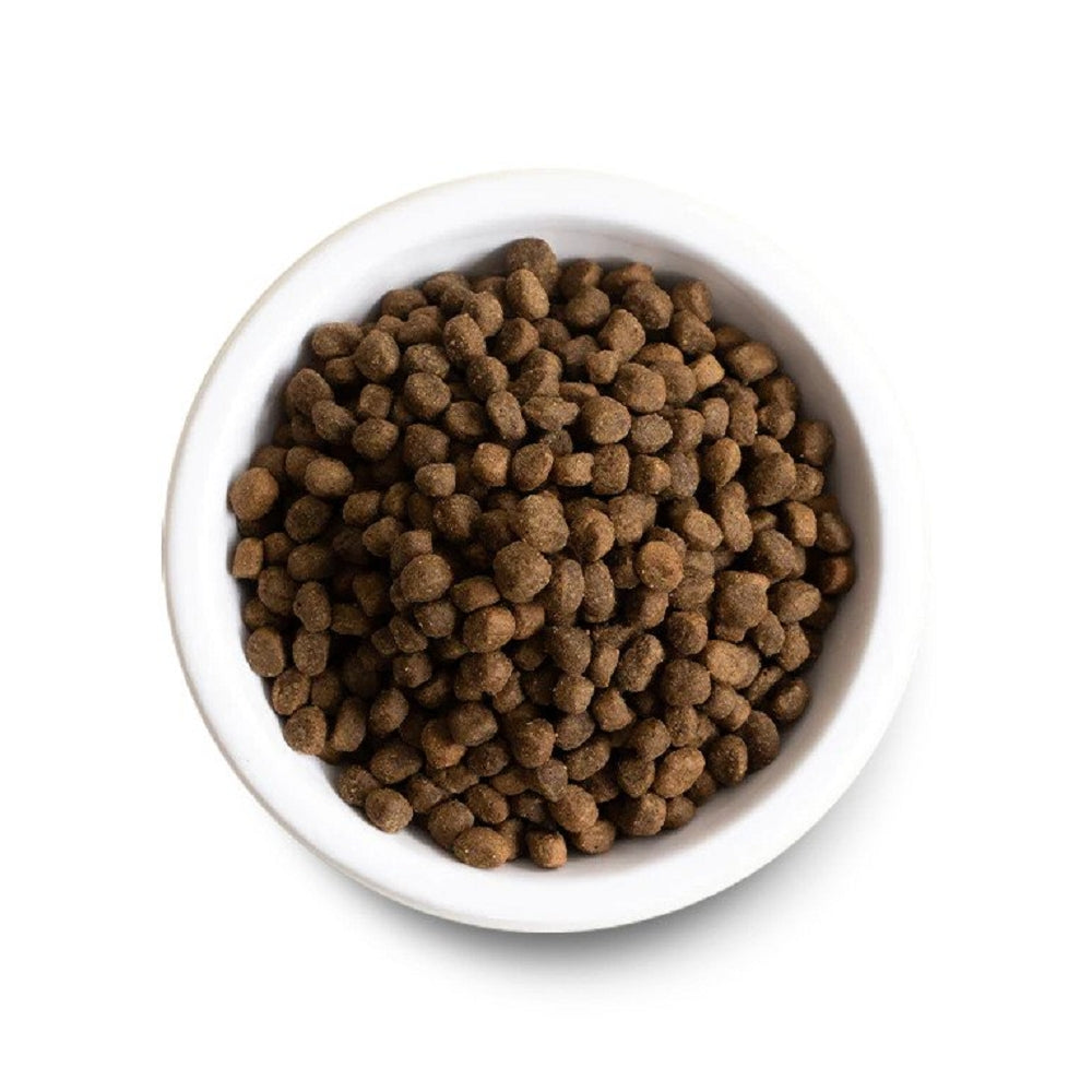 Catch-of-the-Season Whitefish Dog Dry Food