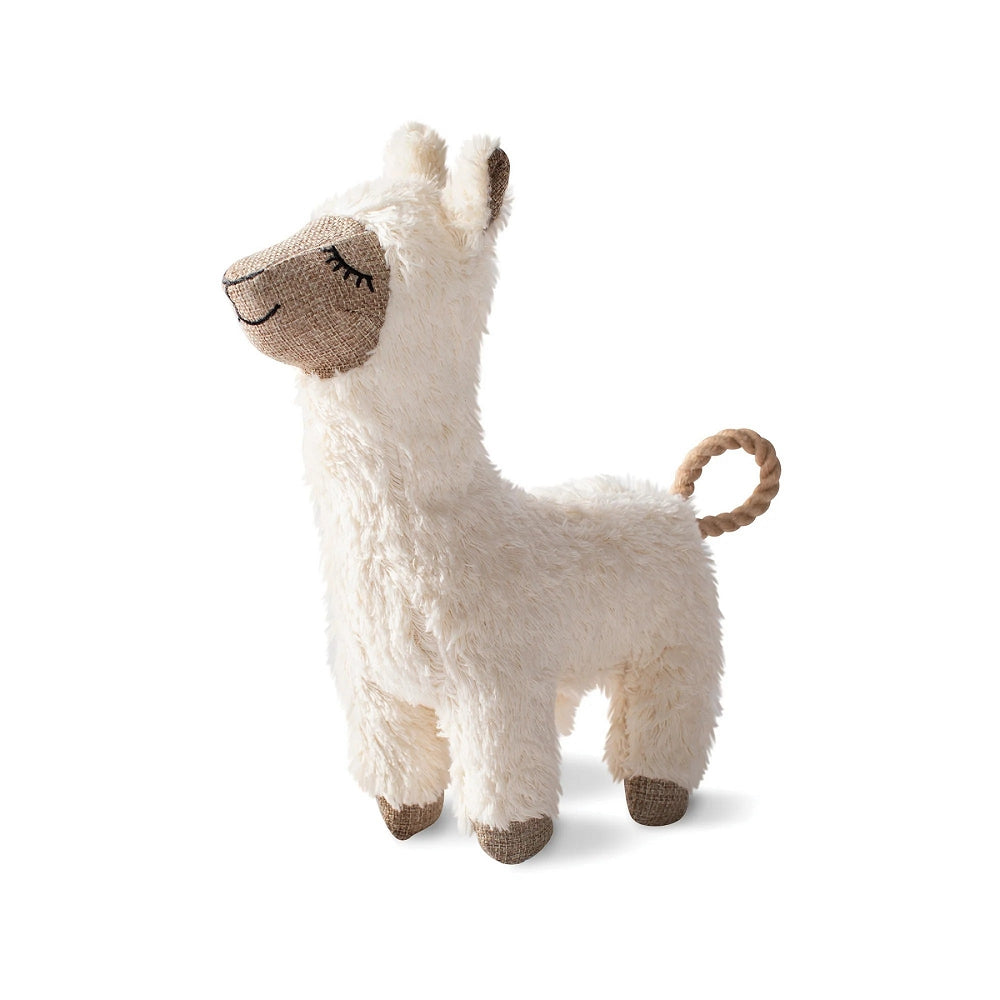 Earth Friendly Fleeced To Meet You Dog Plush Toy
