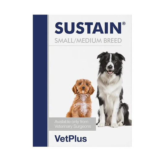 Sustain for Intestinal Problems for Dogs