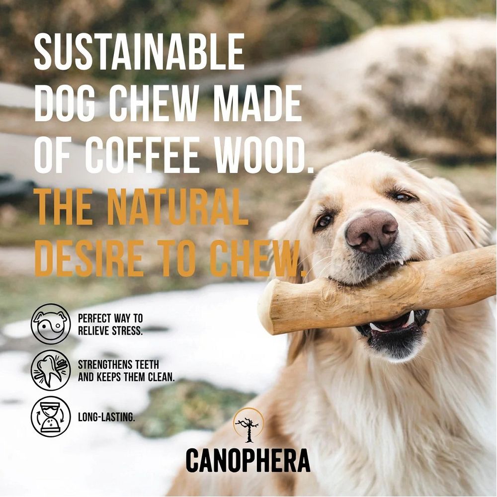 Coffee Tree Stick Dog Chew