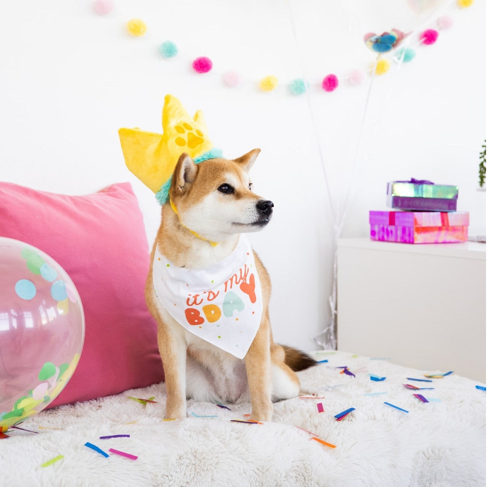 Happy Birthday Bandana Hat Set for Dogs