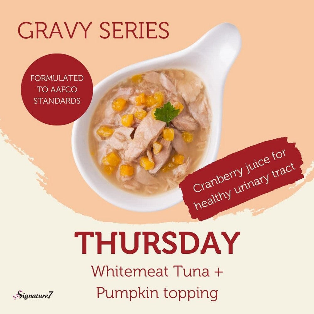 Real Meat Gravy - Thu - Whitemeat Tuna w/ Pumpkin Topping Cat Can