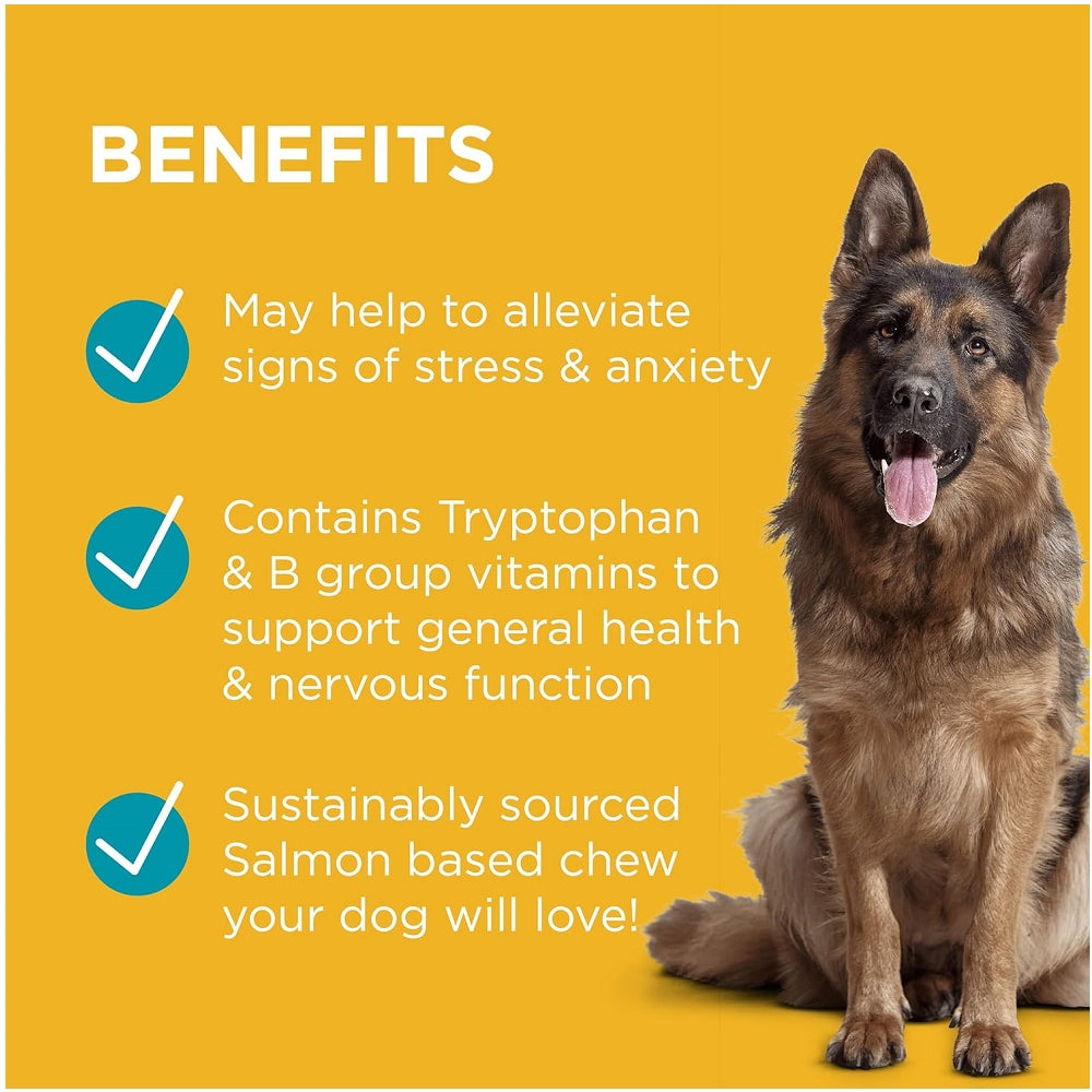Paw Complete Calm Chews for Dogs