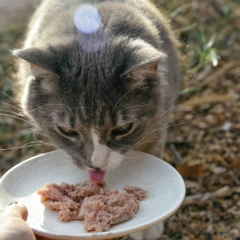 Feline Frozen Raw Diet Turkey Entrees Cat Food