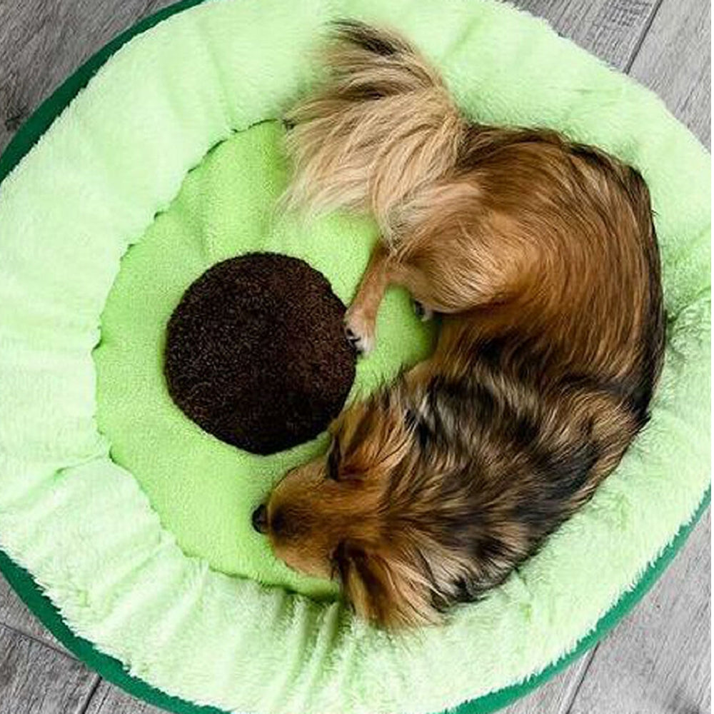 Avocado Dog Bed