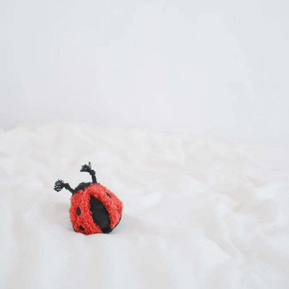 Ladybug Pop Squeaky & Bouncy Dog Toy
