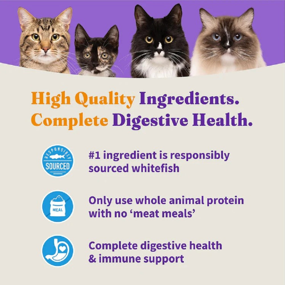 Holistic Healthy Grains Whitefish Sensitive Stomach Cat Dry Food