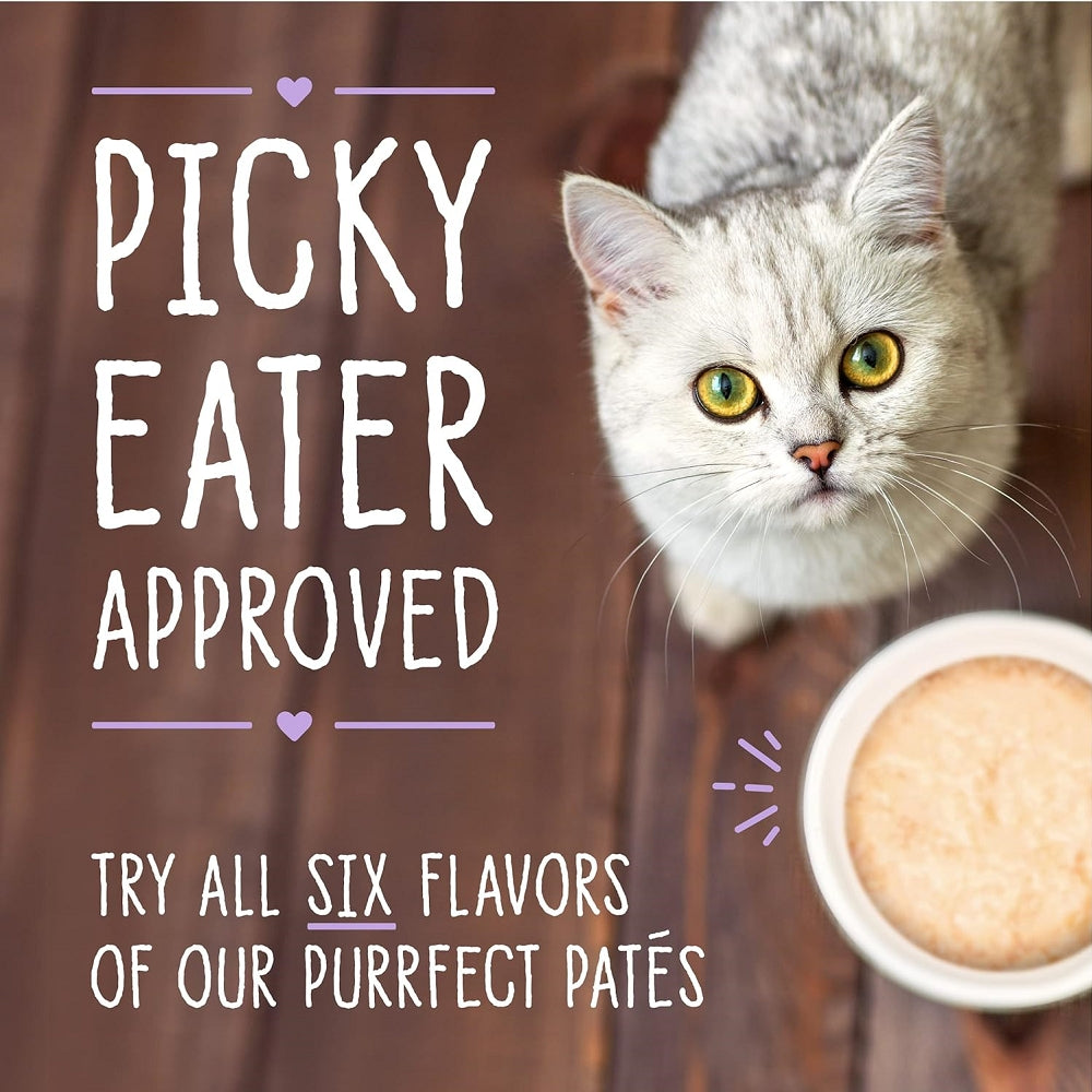 Carnivore Cravings  Adult Tuna + Pumpkin 100% Complete Balance Diet Recipe Wet Cat Can