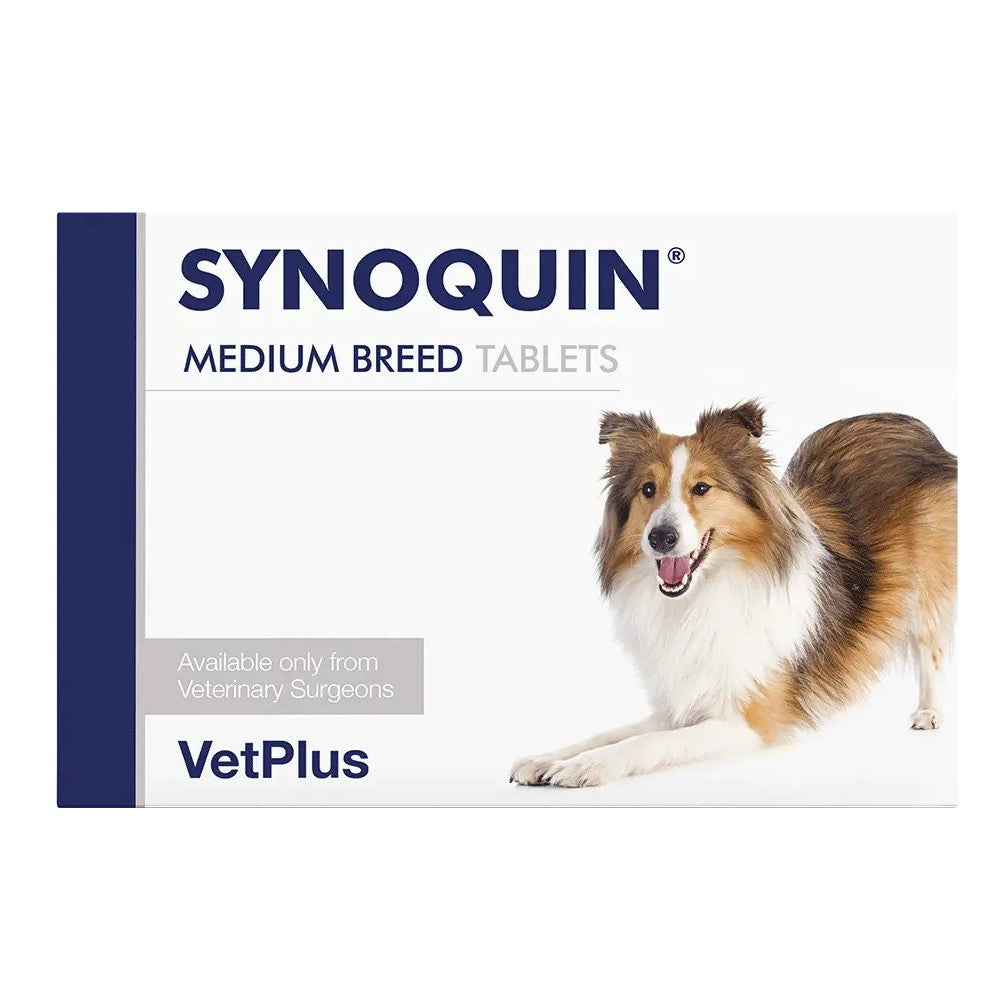 Synoquin for Dogs