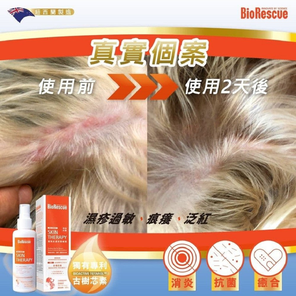 Skin Therapy for Dogs & Cats