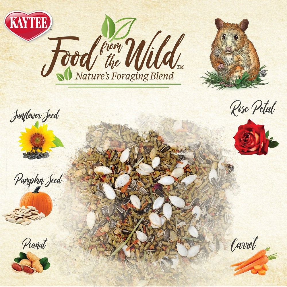 Food From The Wild For Hamster