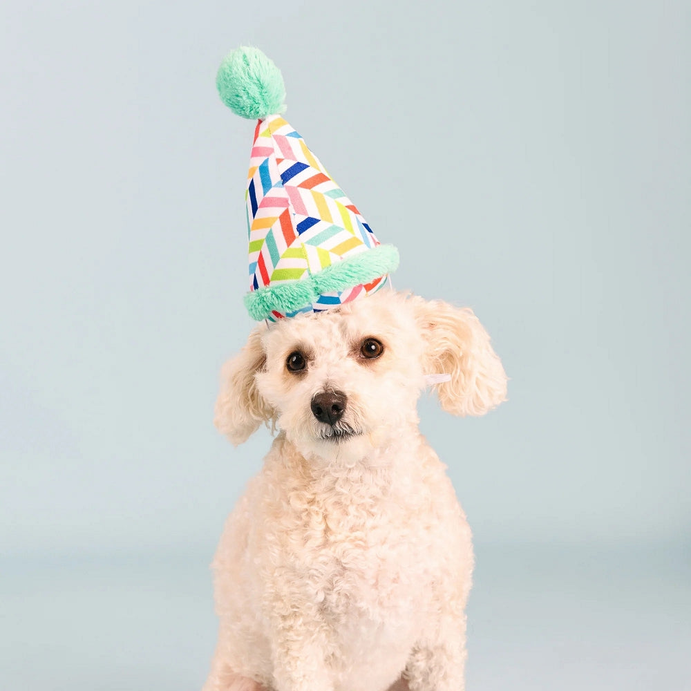 Birthday Hat Dog Plush Toy