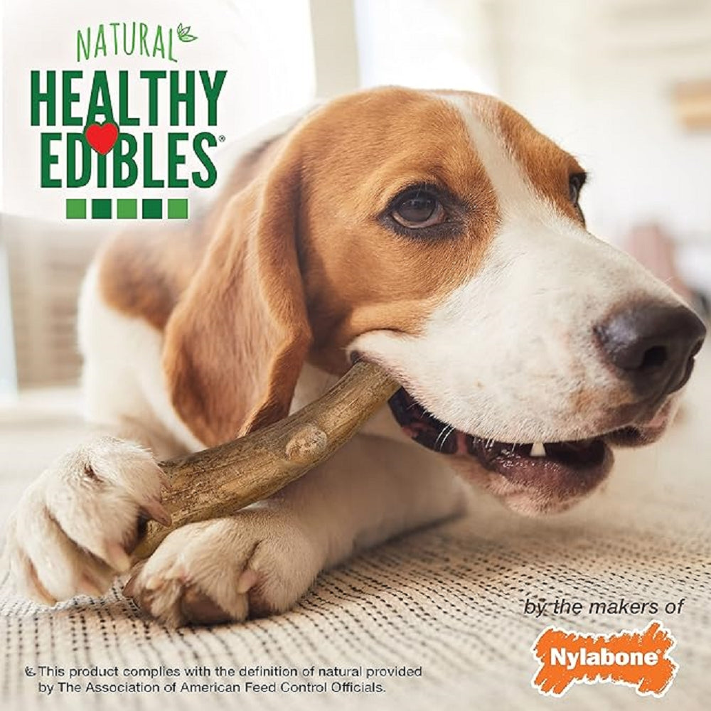Healthy Edibles Wild Antler Natural Long Lasting Dog Dental Chews
