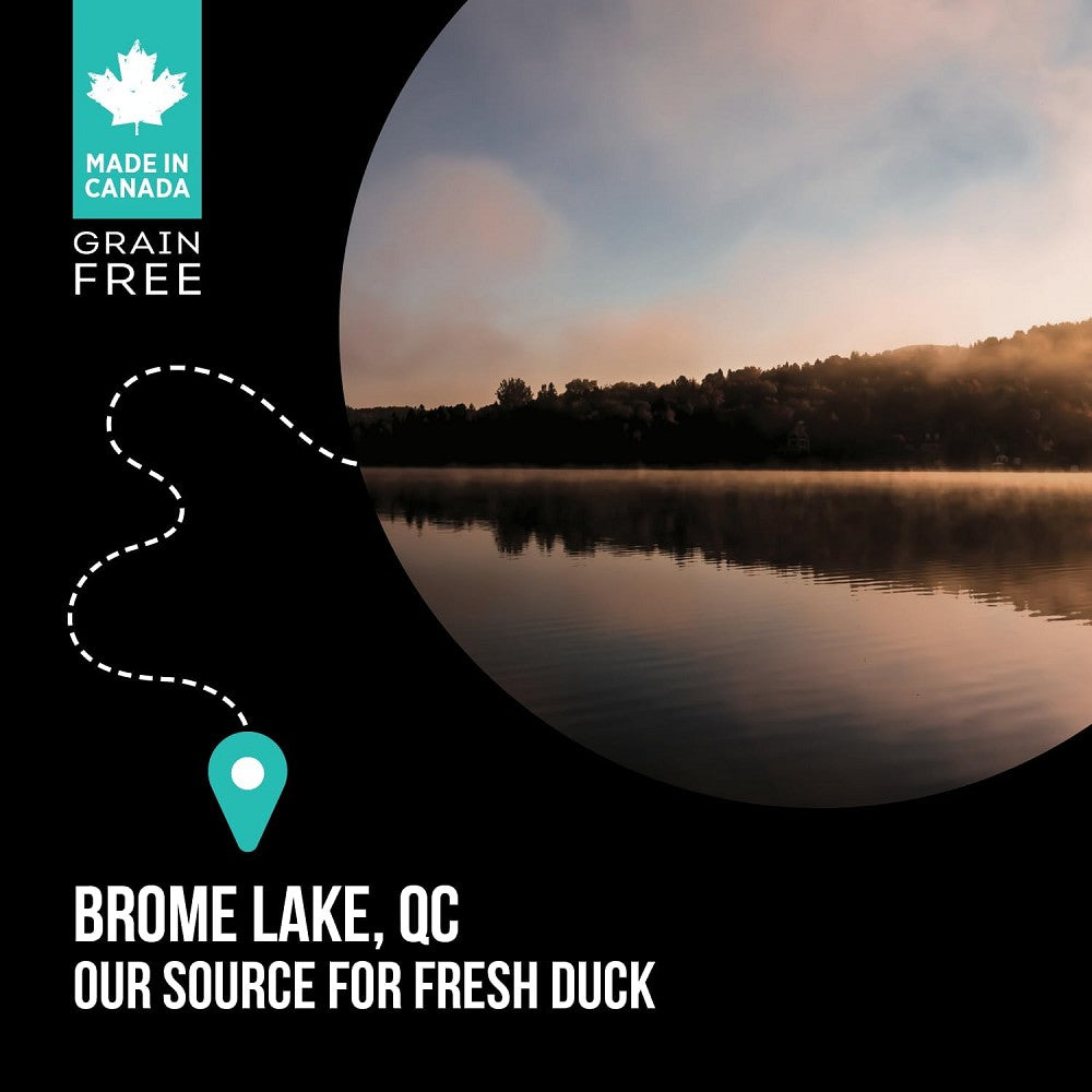 SubZero L.I.D Kibble with Freeze Dried Raw Cubes Duck & Pear for Dogs