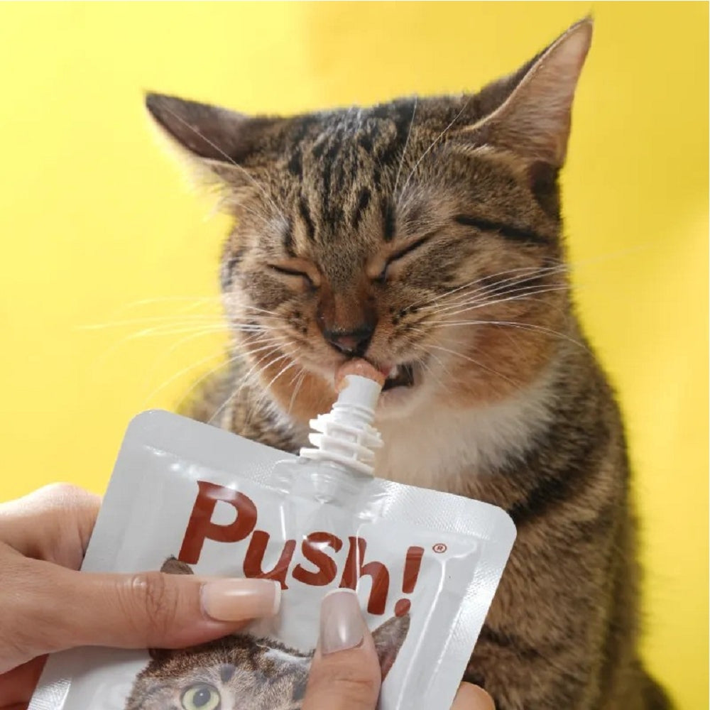 Muscle Maintenance Chicken Meat Softshell Turtle Mousse Paste Cat Pouch